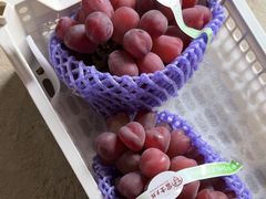 -马陆小张葡萄园农家乐