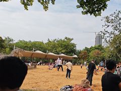 -海珠儿童公园