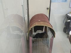 -瑞鹏宠物医院·微创内窥镜·骨外科·牙科(翠竹分院)