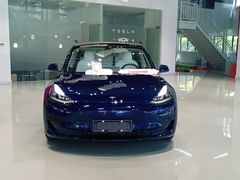 -TESLA 特斯拉(深圳观澜特斯拉直营钣喷中心)