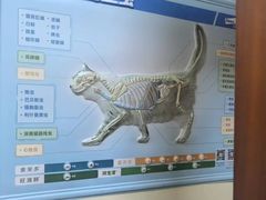 -艾贝尔宠物医院 ·内科全科(梁溪路店)