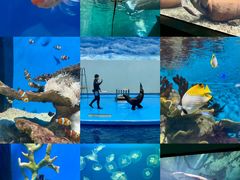 -福州罗源湾海洋世界旅游区
