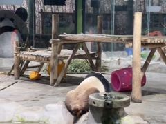 -栾川竹海野生动物园