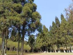 -鼓岭旅游度假区