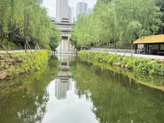 -重庆彩云湖湿地公园