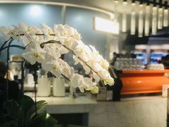 大堂-Peet's 皮爷咖啡(东湖路手作店)