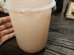 -有猫主题·治愈系猫咖(曾厝垵店)