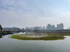 -月湖风景区
