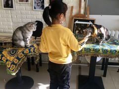 -平行世界·猫咖(首经贸店)