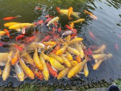 -成飞公园