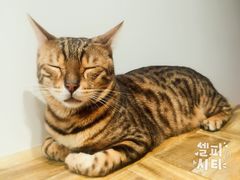 -小时光咖啡馆(开森度假森林店)