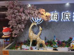 -海底捞火锅(龙茗路店)