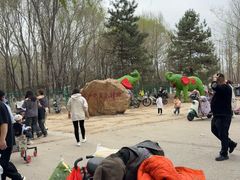 -长白岛森林公园