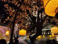 -绿茶餐厅(昌平悦荟店)