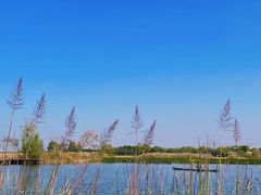 -良渚文化村