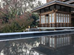 -广悦华阳朔河畔度假酒店(十里画廊遇龙河店)