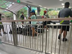 -圣淘沙天际线斜坡滑车
