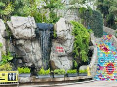 -九龙公园
