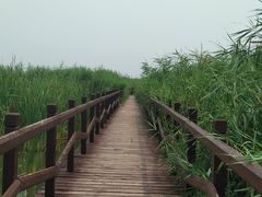 -西青郊野公园