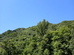 -抱龙峪