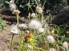 -南京市江宁方山