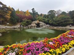 -香山公园