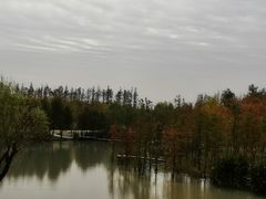 -上海长兴岛郊野公园