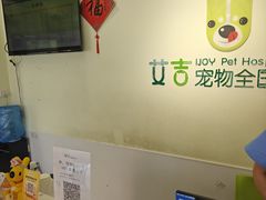 -艾吉宠物医院·疑难杂症转诊中心·猫友好(碧江路院)