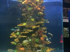 -嘉兴海底世界