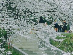 -杭州少年儿童公园