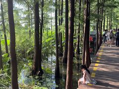 -云龙湖旅游景区