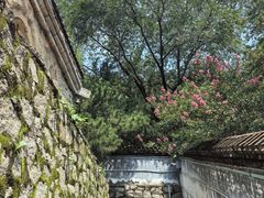 -白水寺森林公园