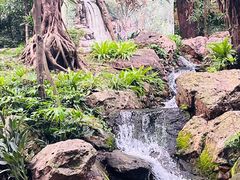 -广州兰圃