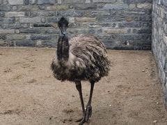 -清风小镇闯关东影视基地