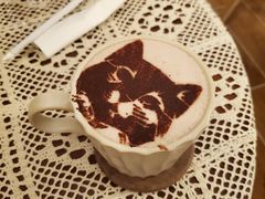 热可可-猫友咖啡店(玉林西路店)