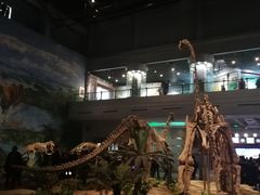 -自贡恐龙博物馆