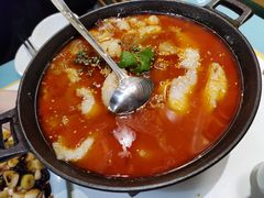 自制泡菜龙利鱼汤锅-付掌柜在成都·热炒砂锅集(金禾店)