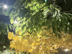 -城墙拐拐火锅(三峡广场黑金冠店)