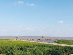 -南汇嘴观海公园