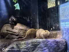 -蓬莱欧乐堡海洋极地世界