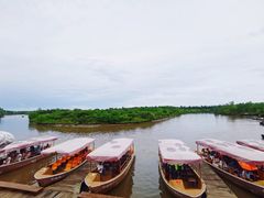 -东寨港红树林旅游区