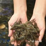 海鲜大餐首选这家啦！❤️❤️❤️