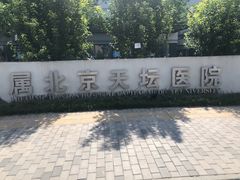-首都医科大学附属北京天坛医院