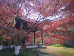 -杭州西湖风景名胜区-北街寻梦