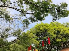-广州莲花山旅游区