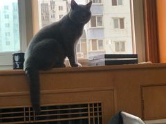 -北京恒爱动物医院(清景园分院)