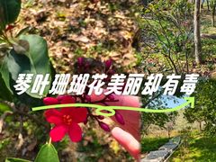 -中山市树木园