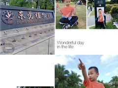 -东莞植物园