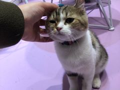 -极木²邸 人与宠物·互动社区