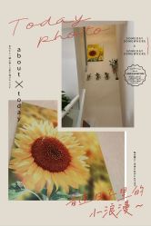 -赢韵美甲美睫瑞士净斑中心